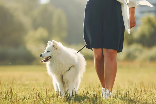 Vista Perto Mulher Com Seu Cão Está Divertindo Campo Dia — Fotografia de Stock