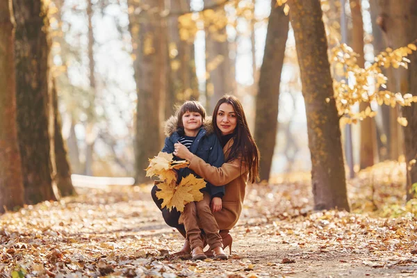 Ön manzara. Anne ve oğlu sonbahar ormanında dışarıda eğleniyorlar..