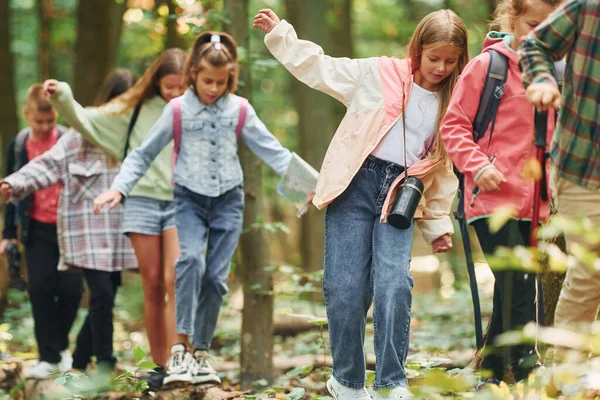 Caminhando Pelo Novo Caminho Crianças Floresta Verde Durante Dia Verão — Fotografia de Stock