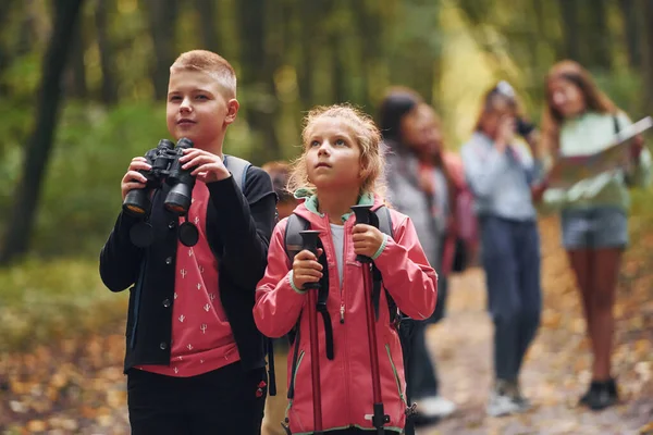散散步 夏天的白天 孩子们一起在绿林里 — 图库照片
