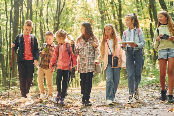 Caminhando Juntos Crianças Floresta Verde Durante Dia Verão — Fotografia de Stock