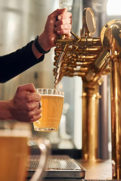 Side View Man Hands Fills Glasses Beer — Stock Photo, Image