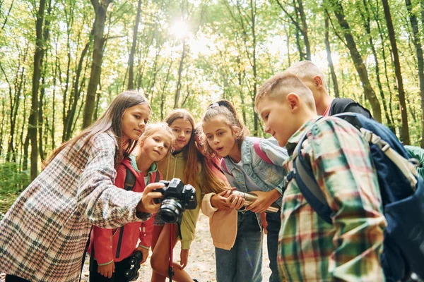 拿着摄像机夏天的白天 孩子们一起在绿林里 — 图库照片