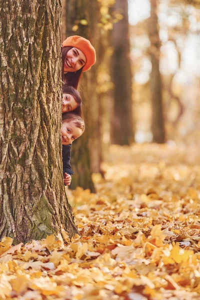 Прячется Деревом Мама Сыном Дочкой Веселятся Осеннем Парке — стоковое фото
