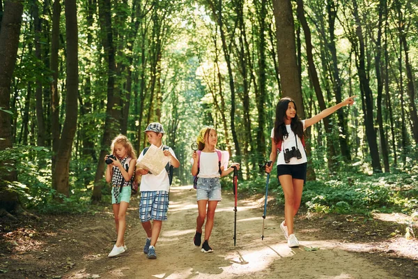 Cherche Chemin Promenade Des Enfants Dans Forêt Avec Équipement Voyage — Photo