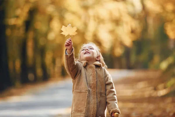 Little Girl Enjoying Walk Autumn Park — Stock Photo, Image