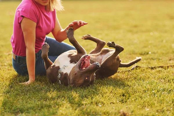 Playing Ground Woman Casual Clothes Pit Bull Outdoors — Stock Photo, Image
