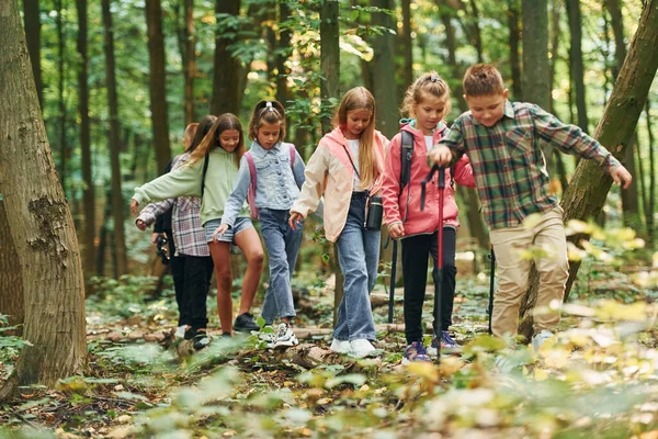 Caminhando Pelo Novo Caminho Crianças Floresta Verde Durante Dia Verão — Fotografia de Stock