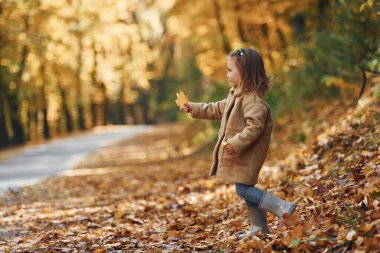 Küçük kız sonbahar parkında yürüyüşün tadını çıkarıyor..