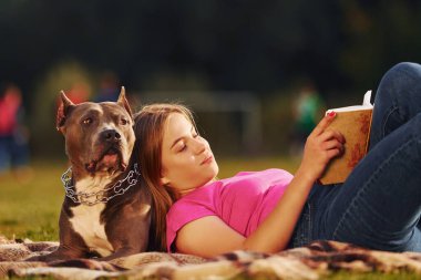 Battaniyeye uzanmak. Gündelik elbiseli bir kadın pitbull 'la dışarıda..