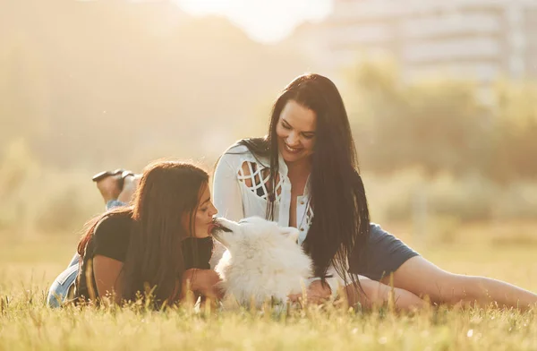 Sohbet Ediyorduk Köpekli Iki Kadın Güneşli Bir Günde Sahada Eğleniyor — Stok fotoğraf