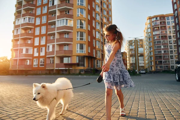 Mała Dziewczynka Psem Jest Spacerze Ulicy — Zdjęcie stockowe
