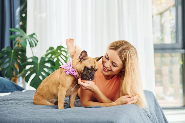 ベッドの上に寝そべって 犬を飼っている女性は昼間家にいます — ストック写真