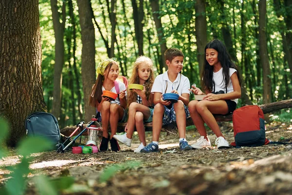 坐着休息一下 孩子们带着旅行器材在森林里散步 — 图库照片