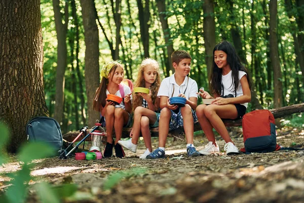 Sitter Och Vilar Barnpromenader Skogen Med Reseutrustning — Stockfoto