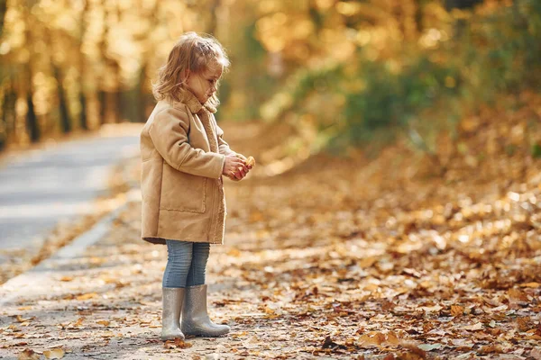 Маленька Дівчинка Насолоджується Прогулянкою Осінньому Парку — стокове фото