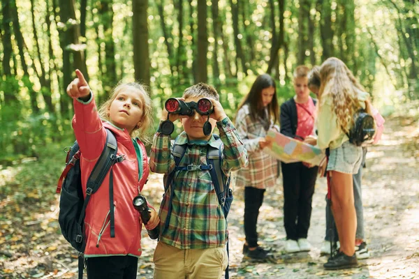 Nouveaux Endroits Enfants Dans Forêt Verte Pendant Journée Été Ensemble — Photo