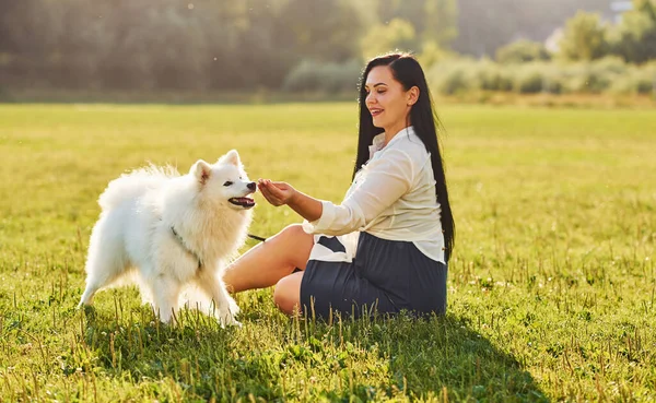 Mulher Está Sentada Chão Campo Com Seu Cão Bonito — Fotografia de Stock