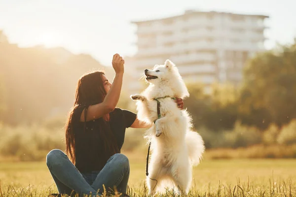 Fazer Alguns Truques Mulher Com Seu Cão Está Divertindo Campo — Fotografia de Stock