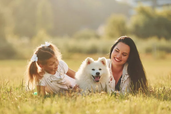 ２人で横になって 女と少女は晴れた日に犬と一緒に畑を散歩しています — ストック写真