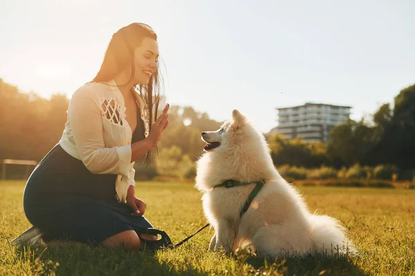 Вид Сбоку Женщина Своей Собакой Веселится Поле Солнечный День — стоковое фото