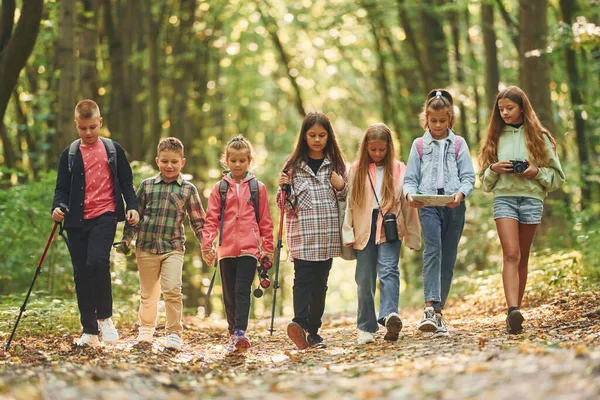 Együtt Sétálunk Gyerekek Zöld Erdőben Nyáron Napközben — Stock Fotó