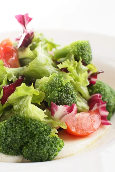 Salada fresca e saborosa — Fotografia de Stock