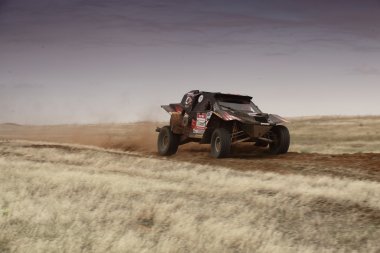 İpek yolu Ralli Şampiyonası Rus 2012