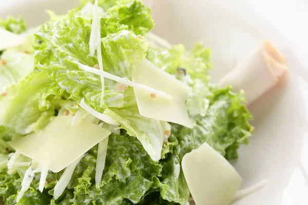 Salada saborosa com legumes — Fotografia de Stock