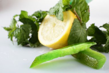 beyaz zemin üzerine nane limon