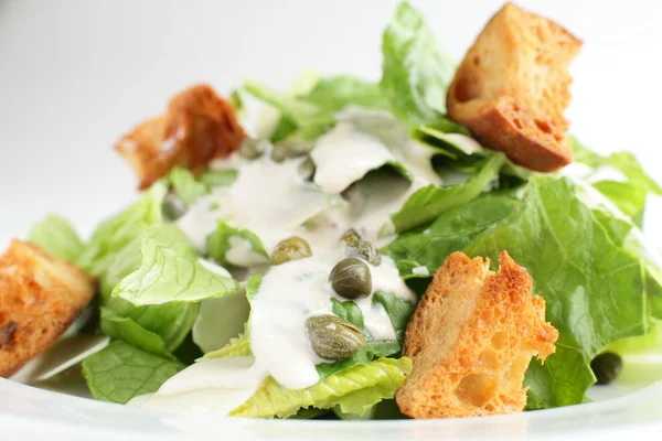 Salada europeia fria e saborosa — Fotografia de Stock