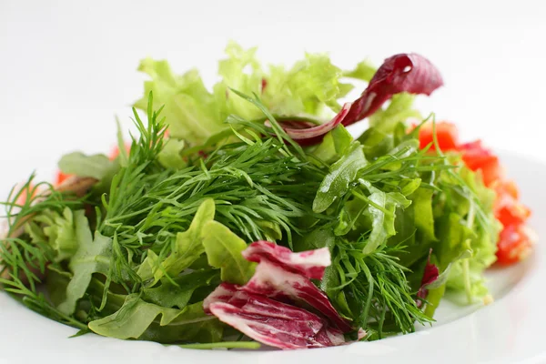 Kalter und schmackhafter europäischer Salat — Stockfoto