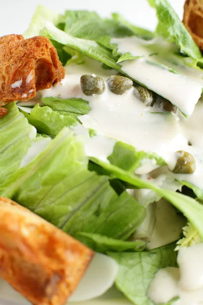 Soğuk ve lezzetli Avrupa salata — Stok fotoğraf