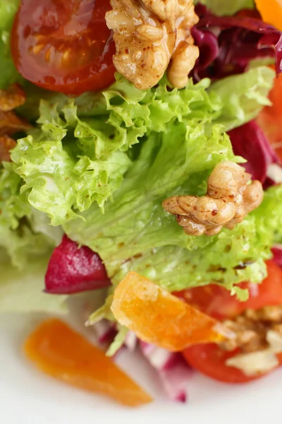 Koud en smakelijke Europese salade — Stockfoto