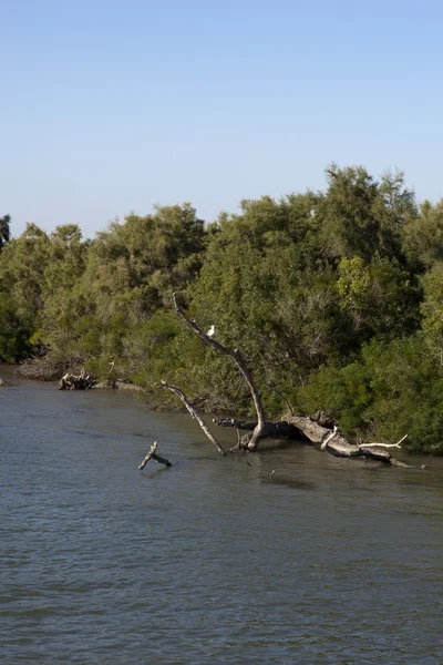 The Rhone — Stock Photo, Image