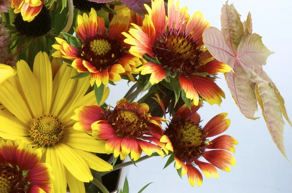 Autumn bouquet — Stock Photo, Image