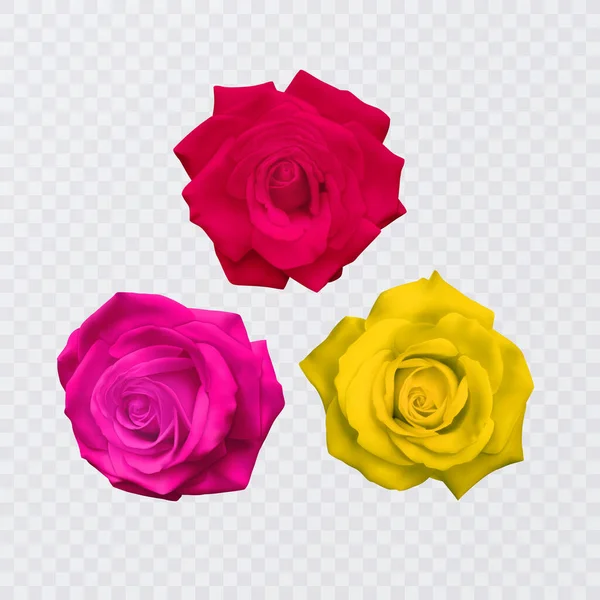 Rosa Conjunto Flores Planta Flor Jardín Rosa Aislado Icono Flor — Archivo Imágenes Vectoriales