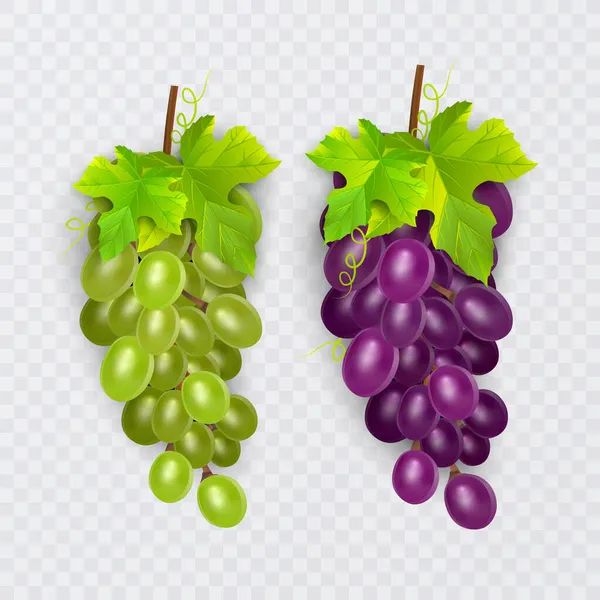 Fruta Fresca Uvas Vino Uvas Mesa Varios Realista Conjunto Iconos — Vector de stock