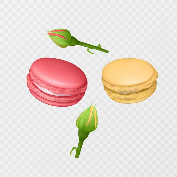 Ilustración Vectorial Sabroso Macaron Francés Colorido Macaron Realista Sobre Fondo — Archivo Imágenes Vectoriales