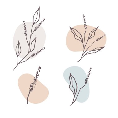 Çiçek ve bitkilerin basit elementleri. Doodle tarzı illüstrasyon. Şekillendirilmiş çiçekler, bitki dalları, yapraklar. El çizimi basit simgeler. Vektör illüstrasyonu