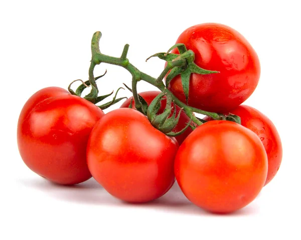 Tomates Planta Ramo Vermelho Isolado Fundo Branco — Fotografia de Stock