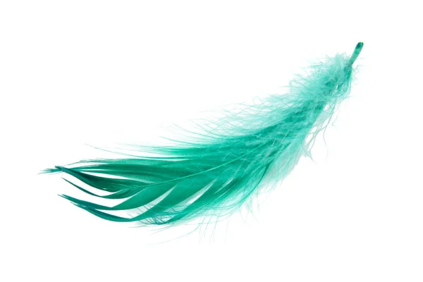 Green Elegant Bird Feather Isolated White Background — 스톡 사진