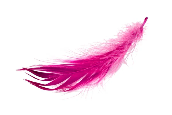 Pink Elegant Bird Feather Isolated White Background — ストック写真
