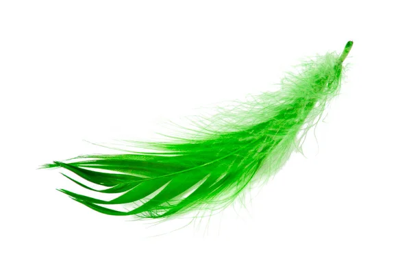 Green Elegant Bird Feather Isolated White Background — 스톡 사진