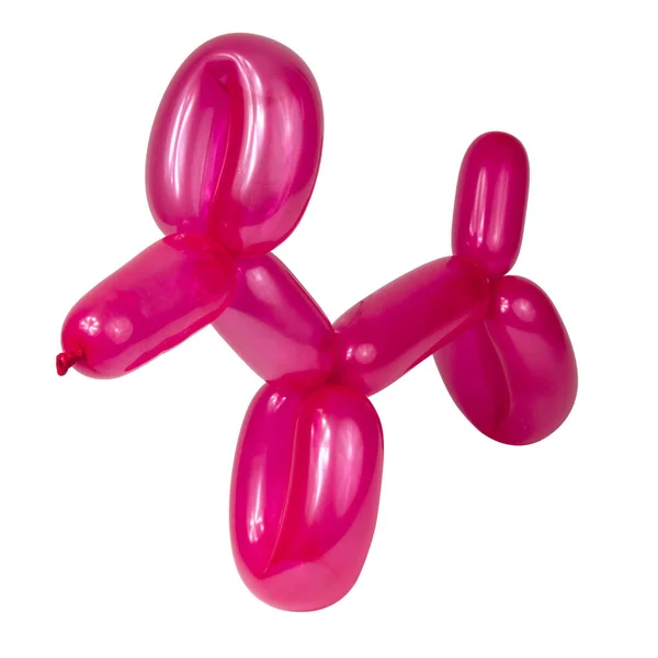 Red Balloon Dog Model Party Fun Isolated White Background — Stock fotografie