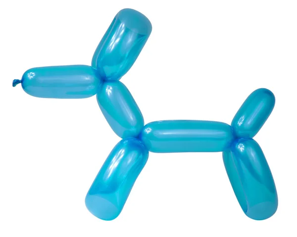 Blue Balloon Dog Model Party Fun Isolated White Background — Stock fotografie