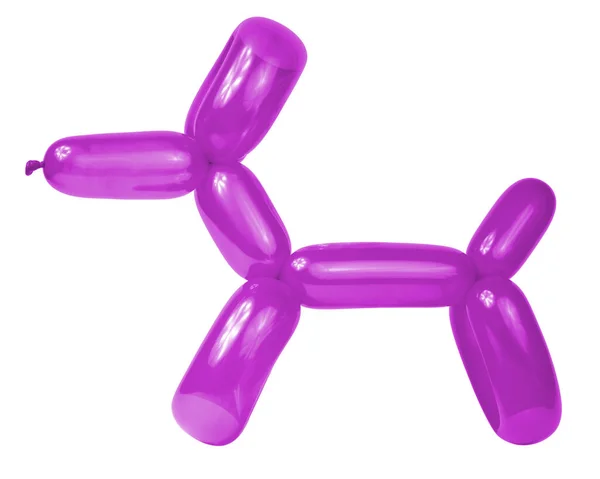 Purple Balloon Dog Model Party Fun Isolated White Background — Stock fotografie