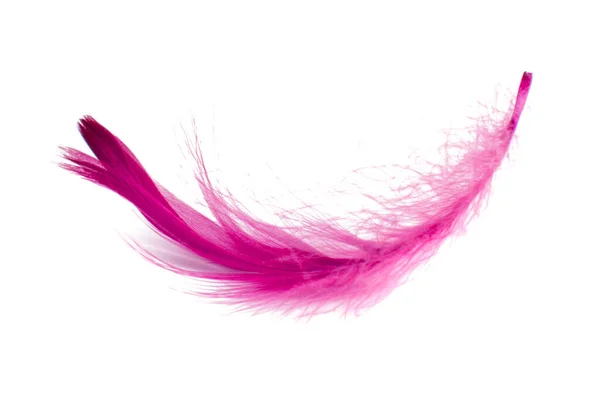 Elegant Fluffy Bird Feather Pink Isolated White Background — Stock Photo, Image