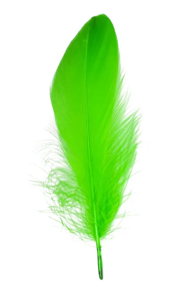 Feather Elegant Puff Isolated White Background — Stock Photo, Image