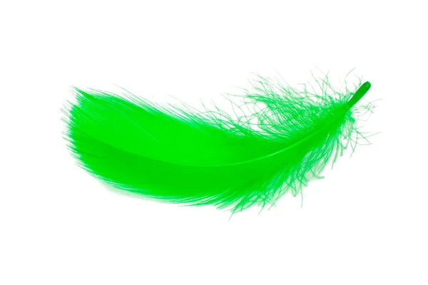 Feather Elegáns Zöld Puff Elszigetelt Fehér Háttér — Stock Fotó